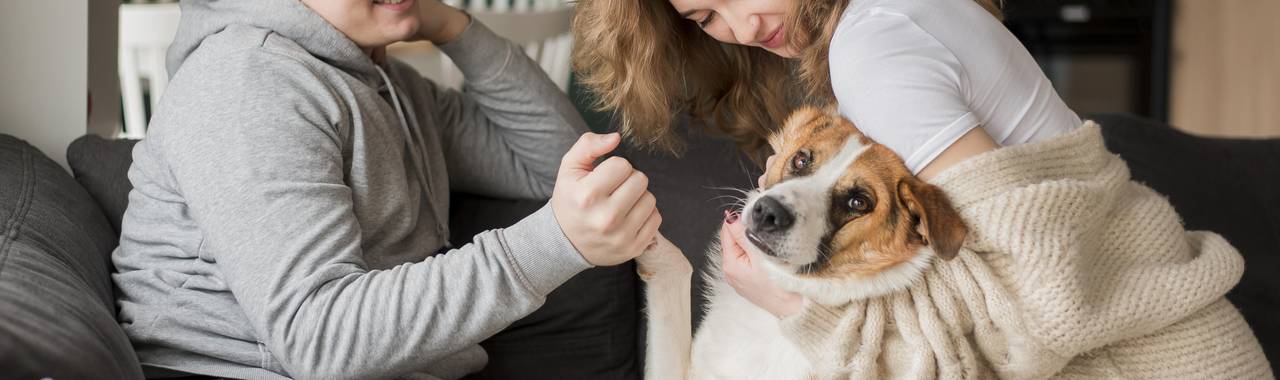 Does My Dog See Me as a Parent? Understanding the Human-Dog Bond