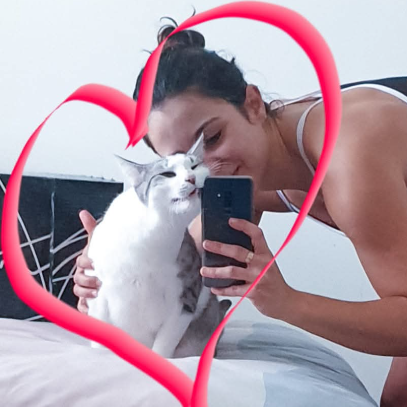 Pipoca