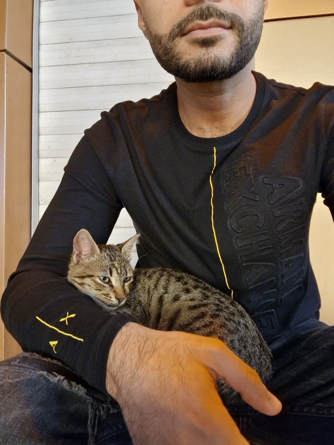 sitter-img